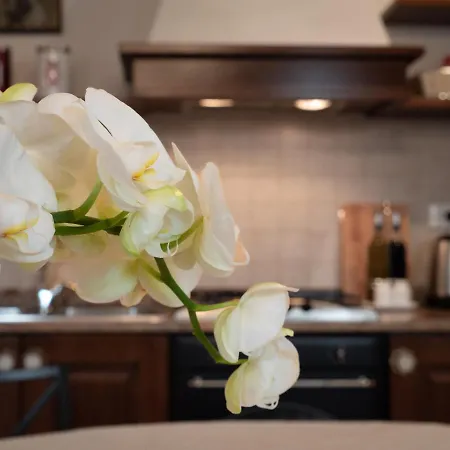 Ca' Mazzega 아파트 *