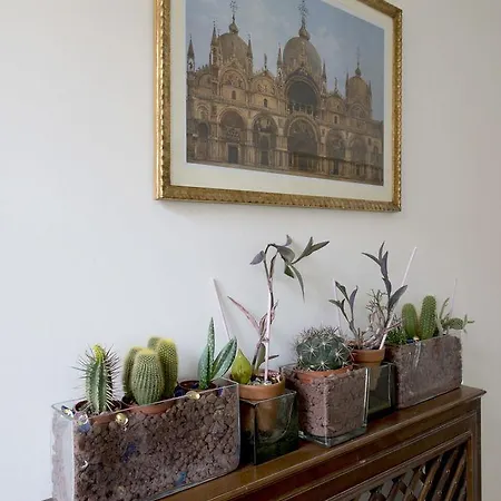 Ca' Mazzega 公寓 *